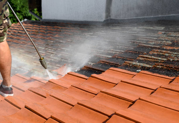 Best Best Pressure Washing Companies  in Rocky Mount, VA