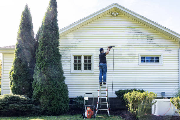 Best Pressure Washing Contractors  in Rocky Mount, VA